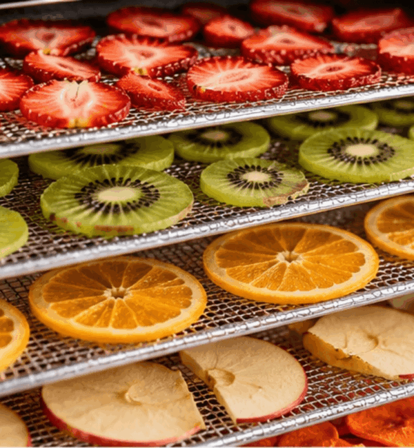 INSIDE DEHYDRATOR.A food dehydrator is a device that removes moisture from food to help preserve it. It uses a heat source and airflow to reduce the water content of various foods