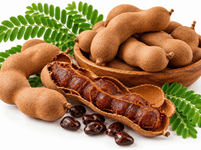 Tamrind Tamrind-Kerala Cuisine Cooking Ingredients Introduction