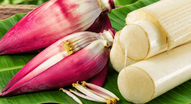 banana flower and stem-Traditional Kerala Cuisine Ingredients: FINEDINING INDIAN
