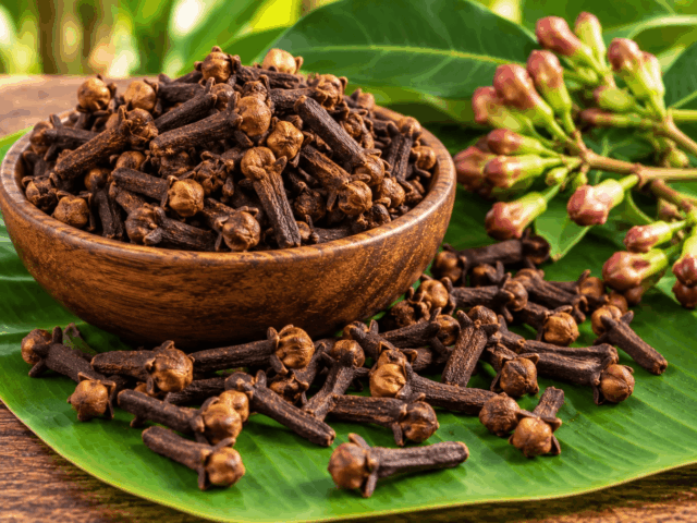 cloves cloves-Kerala Cuisine Cooking Ingredients Introduction