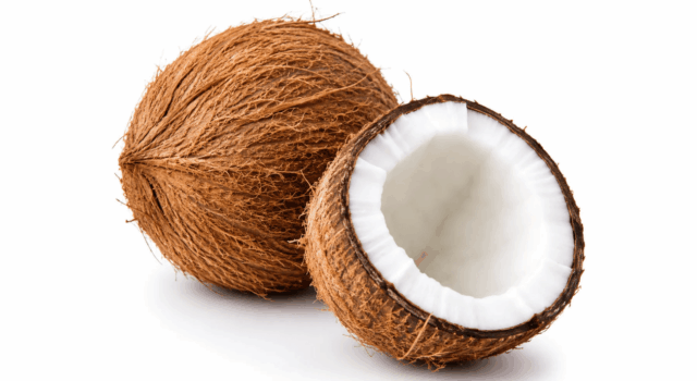 coconut.jpg