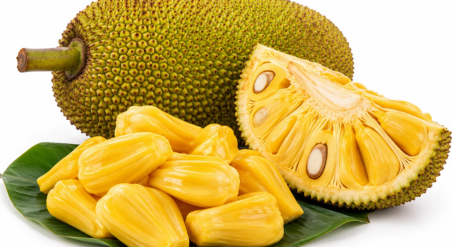 jackfruit-Traditional Kerala Cuisine Ingredients