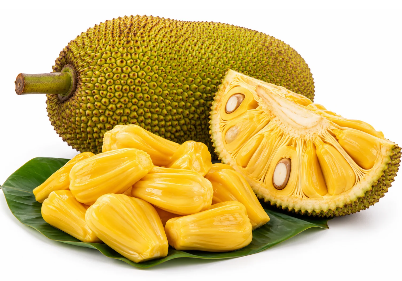jackfruit-Traditional Kerala Cuisine Ingredients