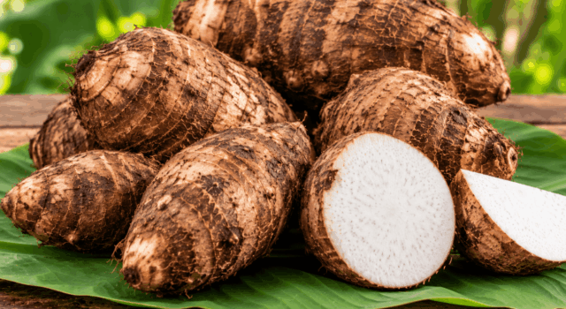 kerala-chembu.jpg