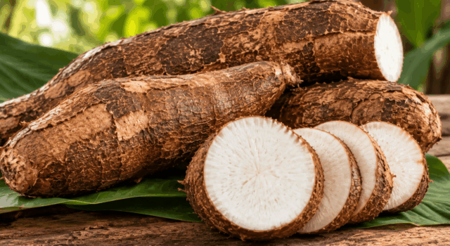 Tapioca-Traditional Kerala Cuisine Ingredients