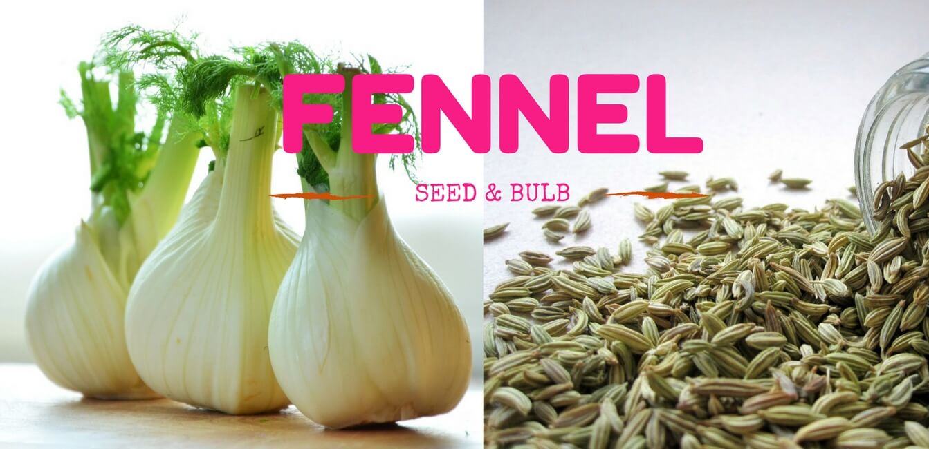 Fennel Seed and Bulb In Fine dining Indian Magazine