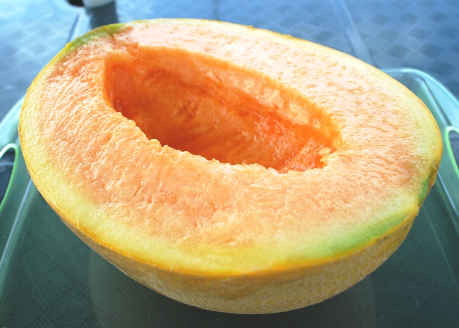 yubari melon used in most expensive indian menu in the world