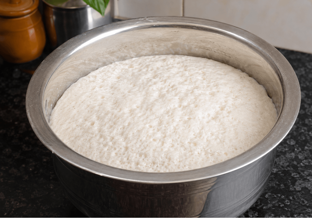Fermented idli batter risen for soft South Indian idli recipe